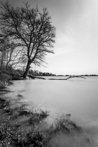 2018_04_04_Etang de Baye (0012).jpg - Etang de Baye (avril 2018)